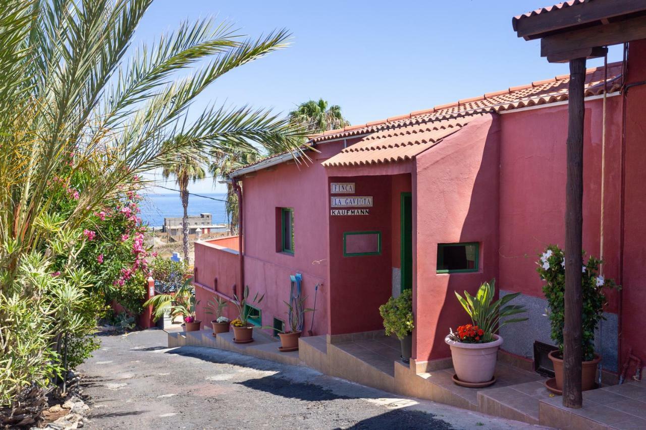 Finca La Gaviota - El Granito إيكود ذي لوس فينوس المظهر الخارجي الصورة